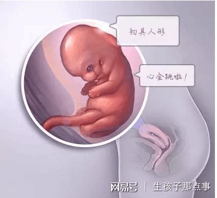 关于试管代孕费用多少